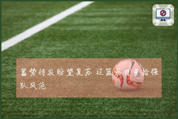 蓄势待发盼望复苏 辽篮或将重拾强队风范